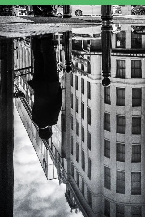 we-are-not we-are-not