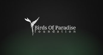 bop-foundation-with-bg-white